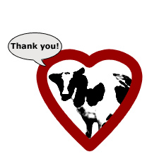 cow_thank_you